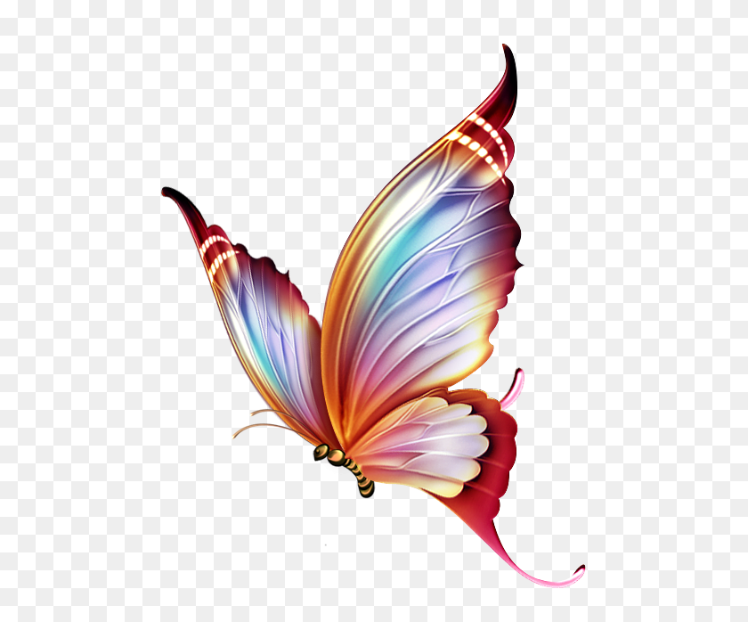 514x638 Butterfly Borboletas, Pintura Em Tecido E Adesivo - Pintura PNG