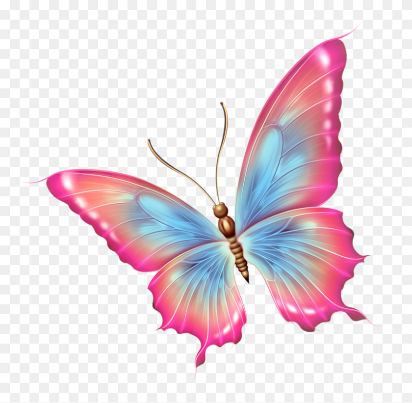 800x781 Butterfly Butterfly, Tattoo And Moth - Moth PNG