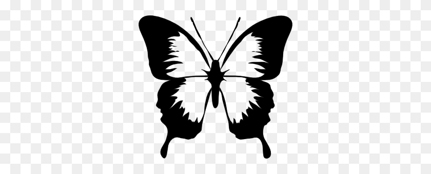 300x280 Бабочка Картинки - Насекомые Клипарт Черно-Белые