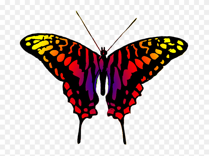 709x566 Butterfly Clipart - Red Butterfly Clipart