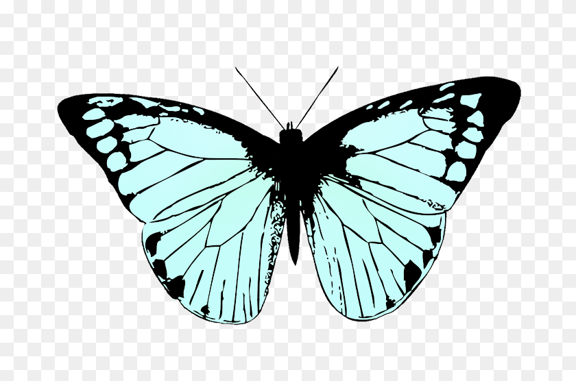 709x496 Butterfly Clipart - Butterfly Wings PNG