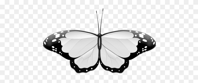 500x294 Бабочка, Черно-Белый Клипарт - Бабочка, Черно-Белый Клипарт