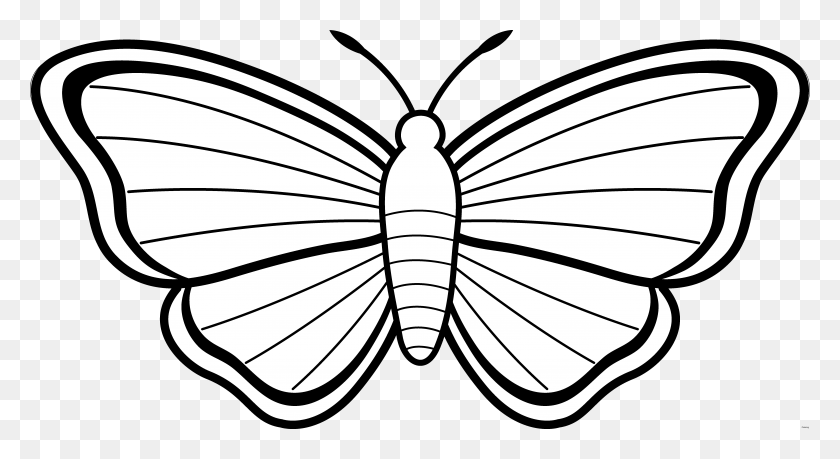 6978x3573 Бабочки Клипарт Черно-Белые Картинки - Реалистичные Животные Клипарт Черно-Белые