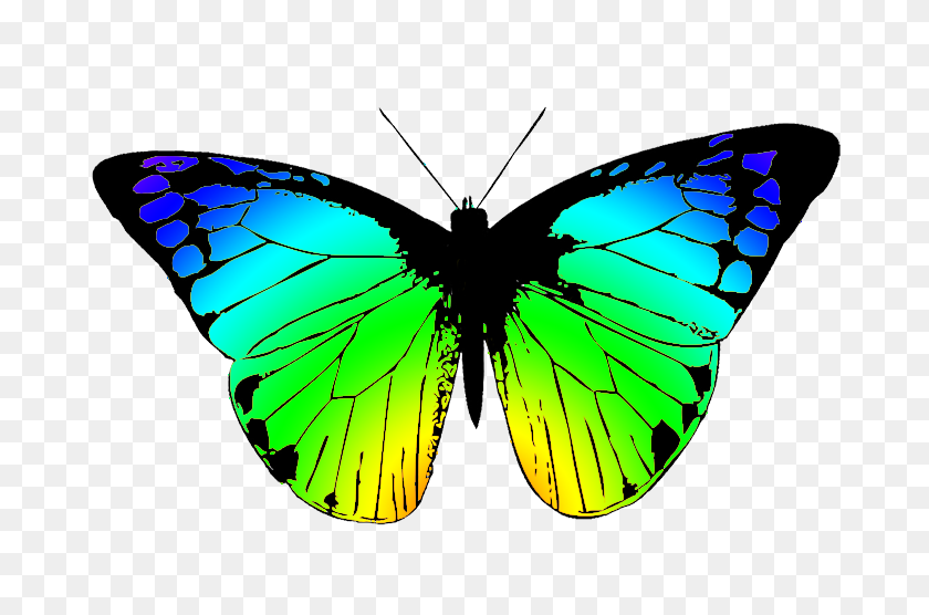 709x496 Butterfly Clipart Butterfly Wing - Butterfly Wings Clipart