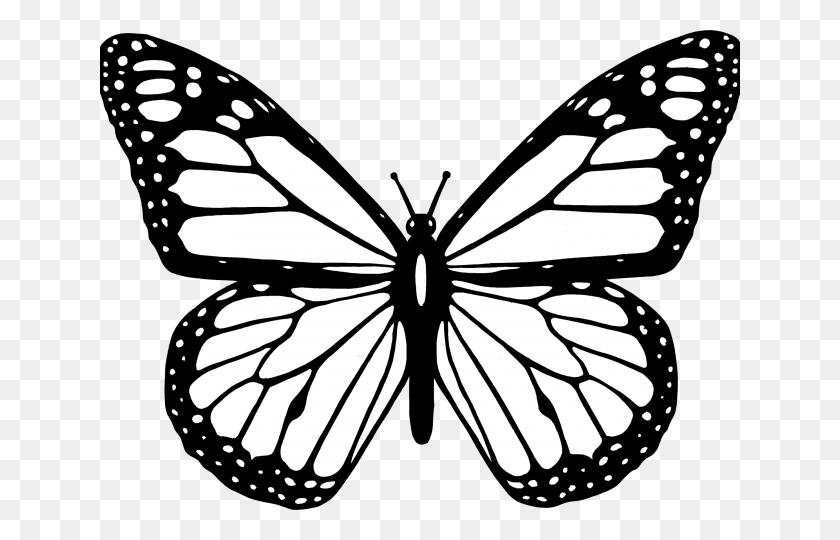 640x480 Butterfly Clipart Easy - Simple Butterfly Clipart