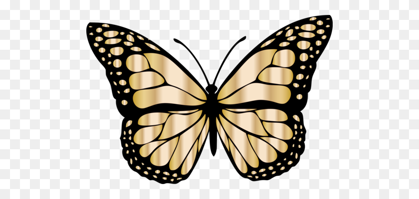 494x340 Butterfly Clipart Free Download - Laurel Clipart