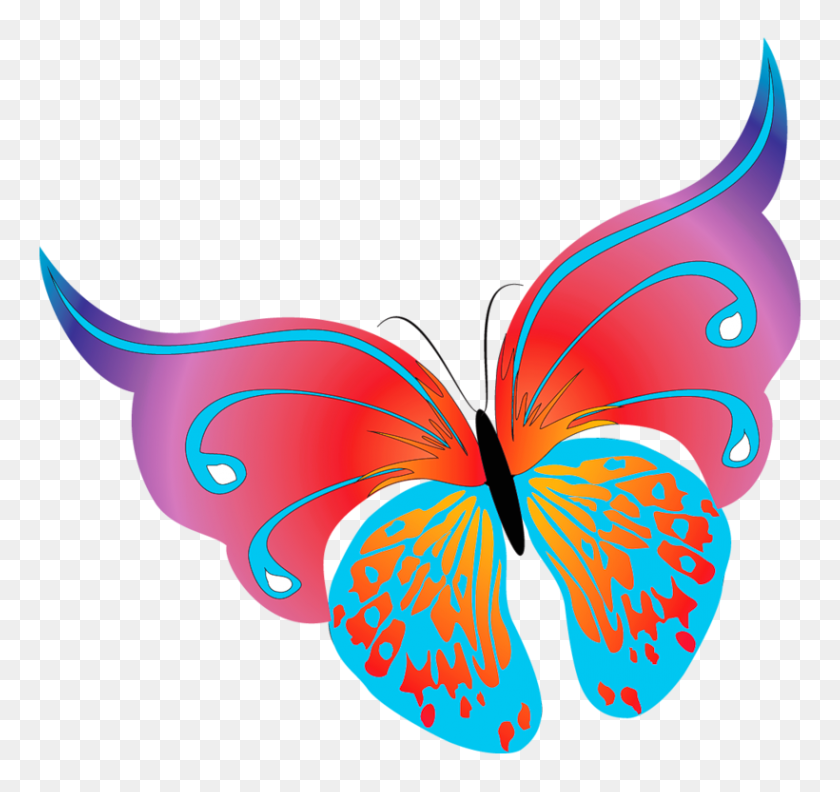 820x770 Butterfly Clipart Transparent Background - Clipart No Background