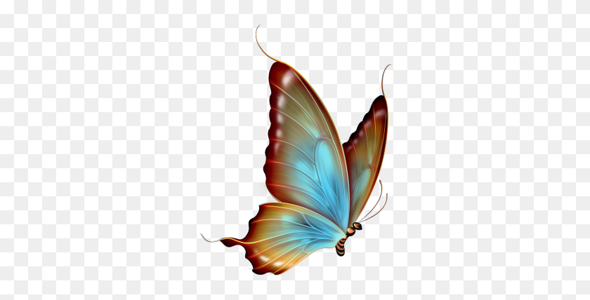 288x368 Butterfly Clipart Transparent Background - Clipart Without Background