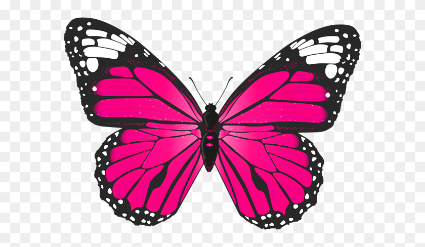 600x428 Butterfly Download Transparent Png Image Png Arts - Pink Butterfly PNG