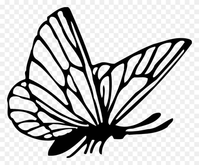 917x750 Butterfly Drawing Computer Icons Coreldraw Download Free - Corel Clipart