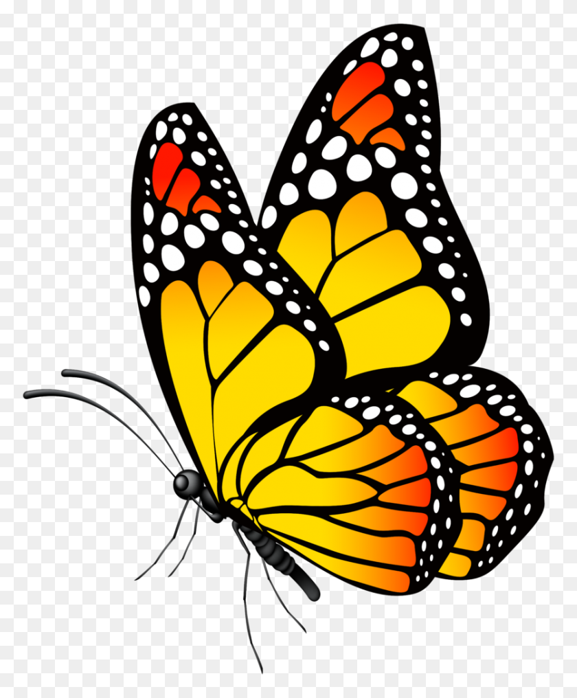 835x1024 Бесплатный Клипарт Бабочки Крылатые Бабочки - Бесплатный Клипарт Цветов И Бабочек