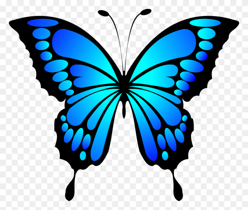 900x750 Бабочка Насекомое Синий Морфо - Синий Бабочка Клипарт