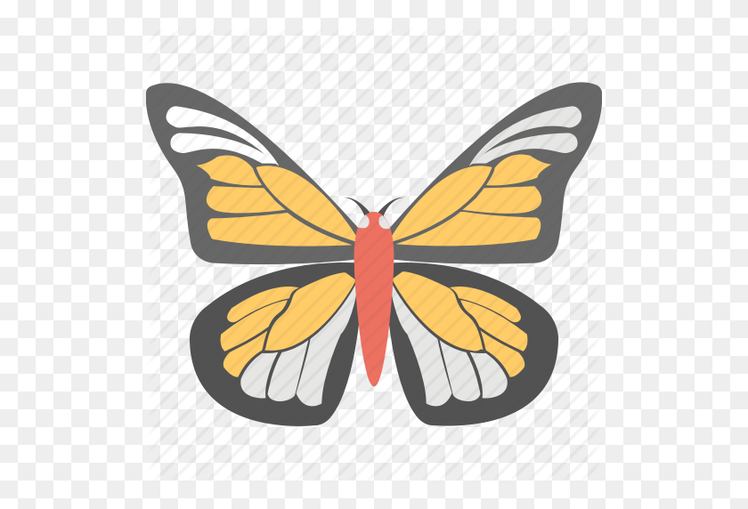 512x512 Butterfly, Insect, Monarch Butterfly, Spring Sign, Summer Icon - Monarch Butterfly PNG