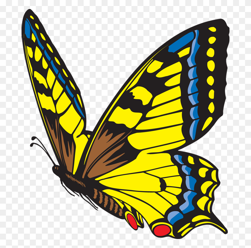 696x768 Butterfly Metamorphosis The Life Cycle Of The Butterfly - Butterfly Life Cycle Clipart