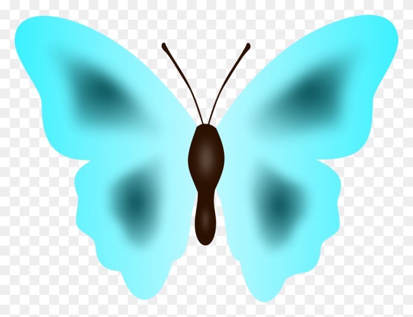 1000x750 Butterfly Moth Insect Animal Color - Moth PNG