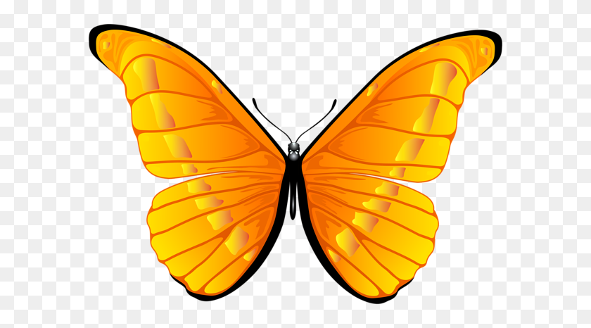 600x406 Butterfly, Orange Butterfly - Butterfly Body Clipart