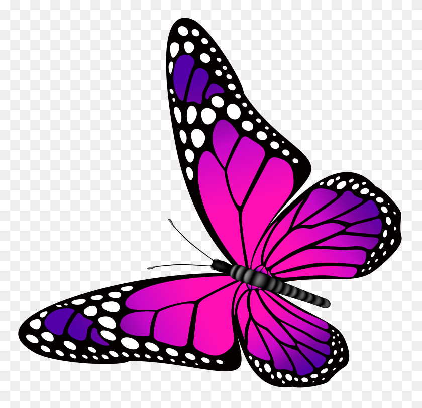 7000x6769 Бабочка Розовый И Фиолетовый Прозрачный Png Картинку - Фиолетовая Бабочка Клипарт