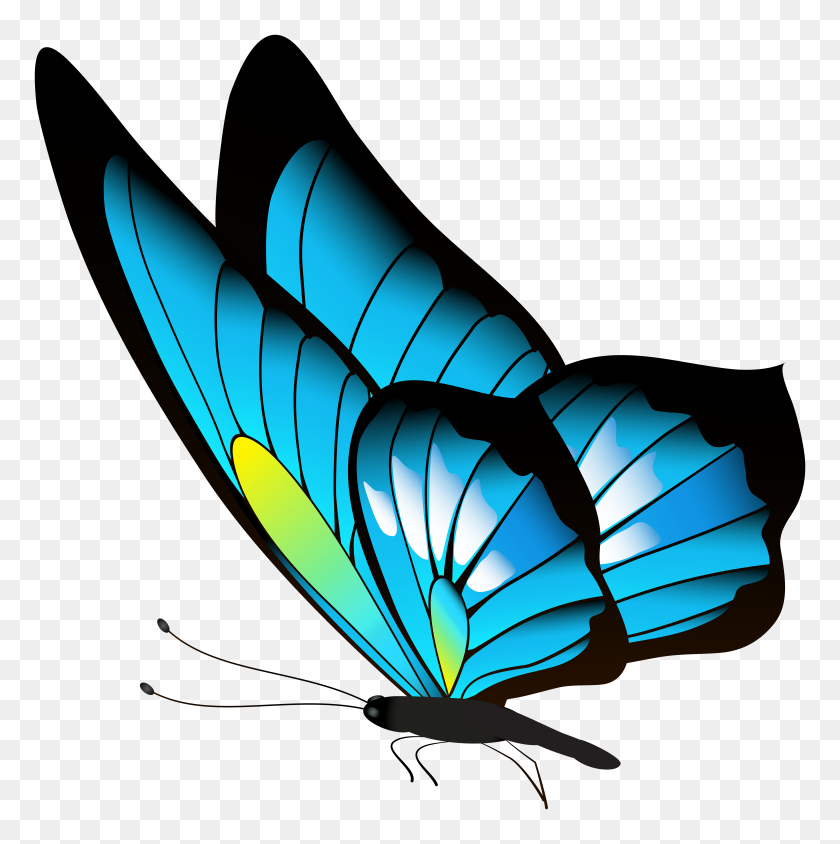 5964x6000 Butterfly Png Clip - Butterfly PNG
