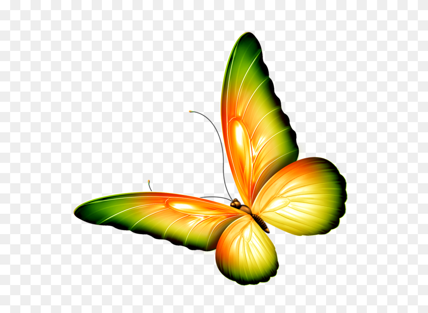600x555 Butterfly Png Clipart Yellow And Green Transparent - Yellow Butterfly PNG
