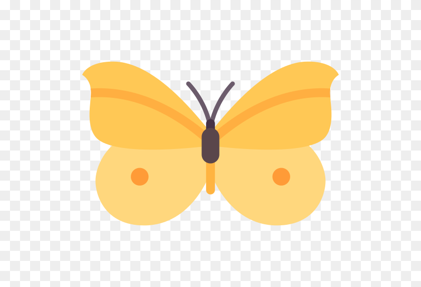 512x512 Butterfly Png Icon - Yellow Butterfly PNG