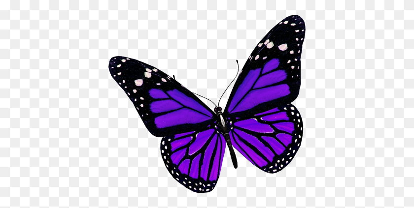 400x363 Butterfly Png Image Without Background Web Icons Png - Purple Background PNG
