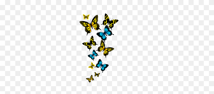 280x311 Butterfly Png Images Clipart, Transparent Butterfly - Butterfly PNG