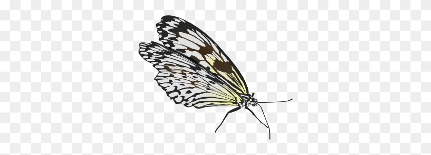 300x243 Mariposa Png Images, Icon, Cliparts - Moth Clipart
