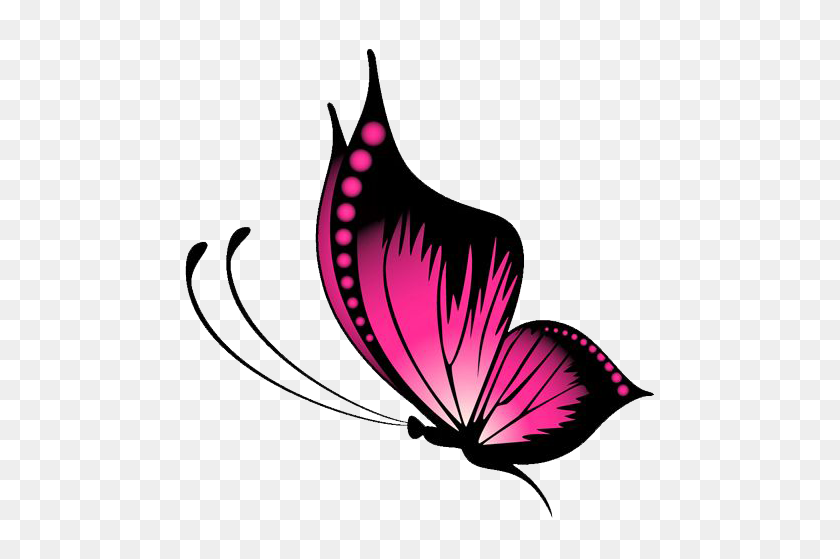 500x499 Бабочка Png Прозрачные Изображения Бабочки - Розовая Бабочка Png