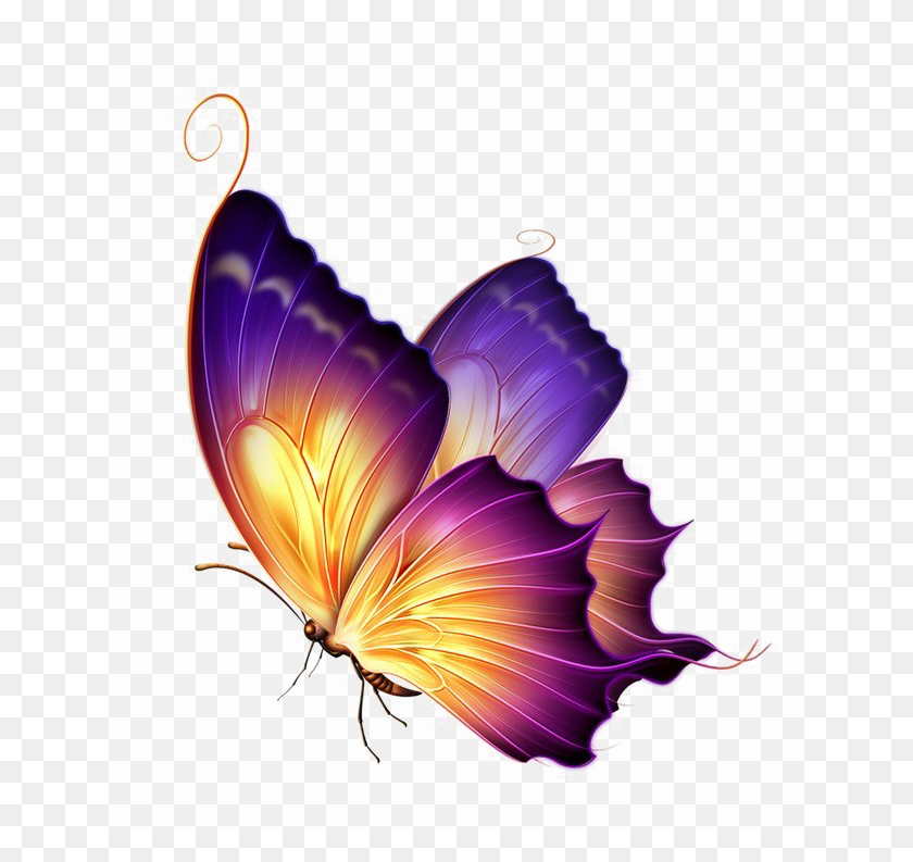 650x733 Butterfly Png Transparent Image Png Arts - Butterfly PNG Images