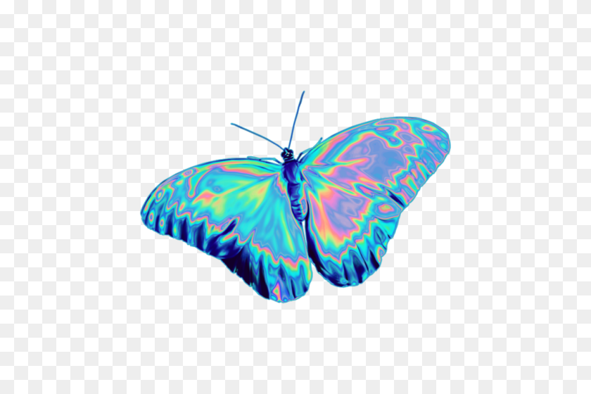 500x500 Butterfly Png Tumblr - Butterfly PNG