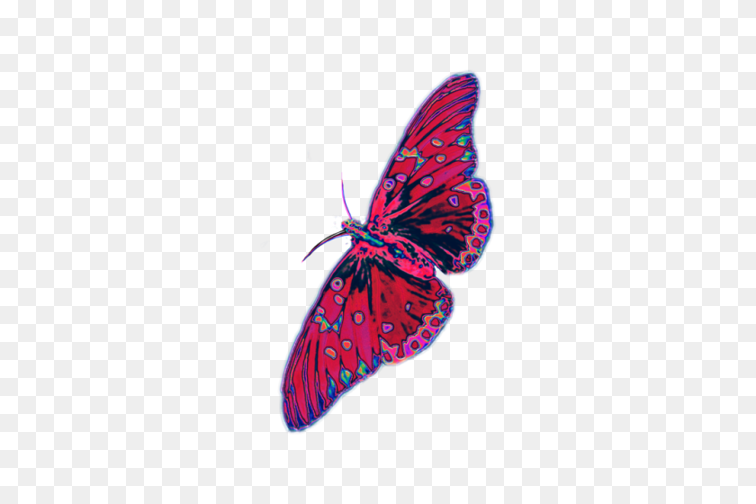 500x500 Butterfly Png Tumblr - Butterfly Wings PNG
