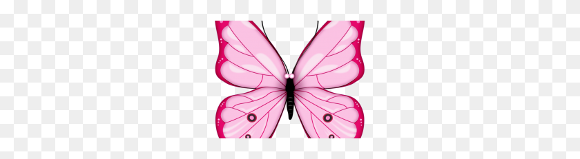 228x171 Butterfly Png Vector, Clipart - Butterfly PNG