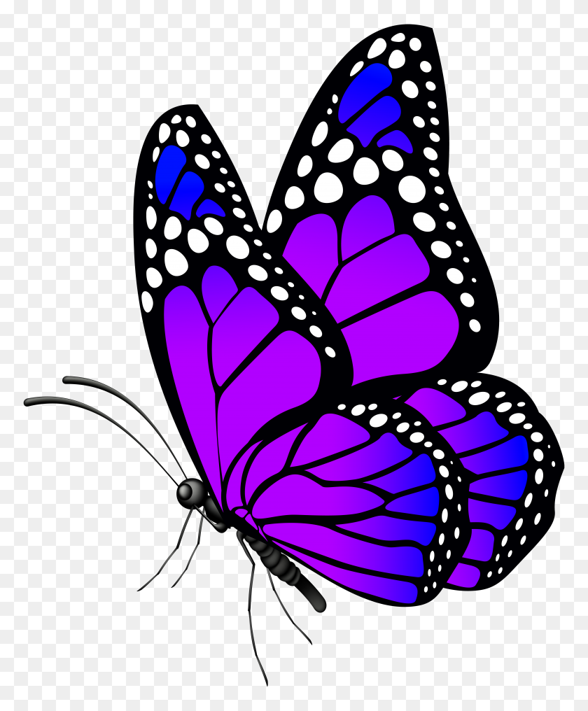 6521x8000 Бабочка Фиолетовый Png Клипарт - Фиолетовый Png