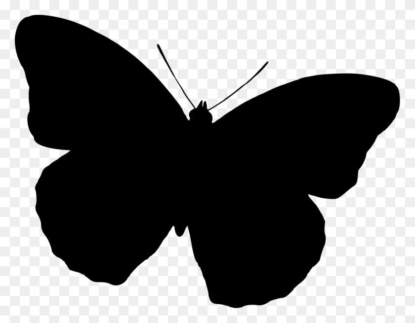 982x750 Силуэт Бабочки Рисунок Черно-Белый - Белый Клипарт Бабочка