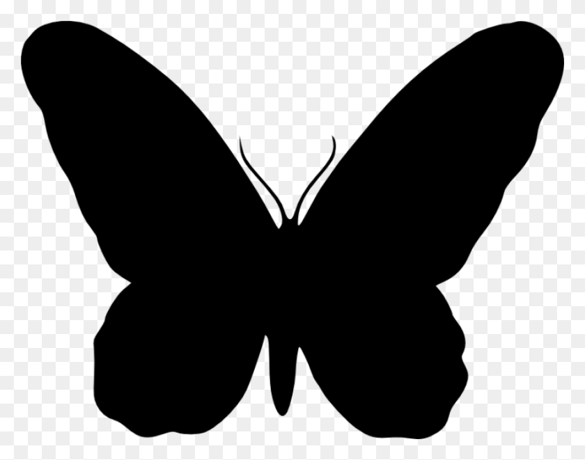 850x656 Butterfly Silhouette Png - Butterfly Silhouette Clip Art