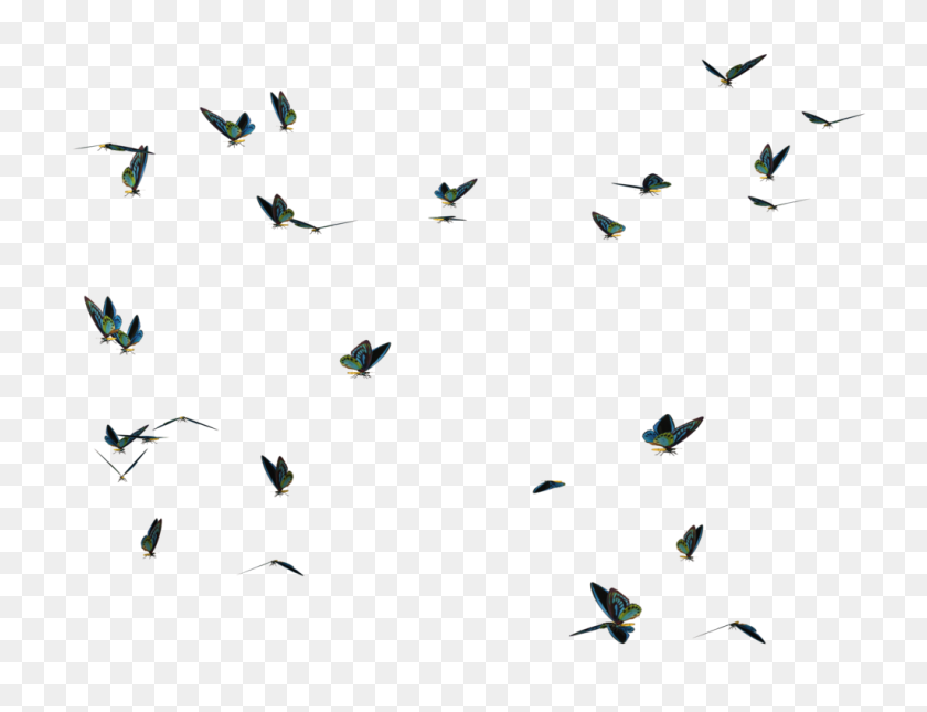 1024x768 Butterfly Swarm Png Stock - PNG Stock