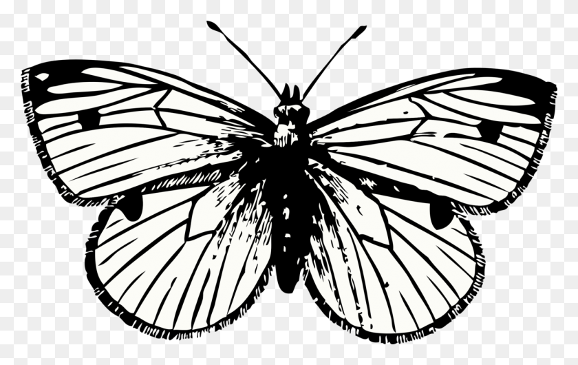 1243x750 Butterfly Tattoo Computer Icons Cabbage White Image Formats - Free Butterfly Clipart Black And White