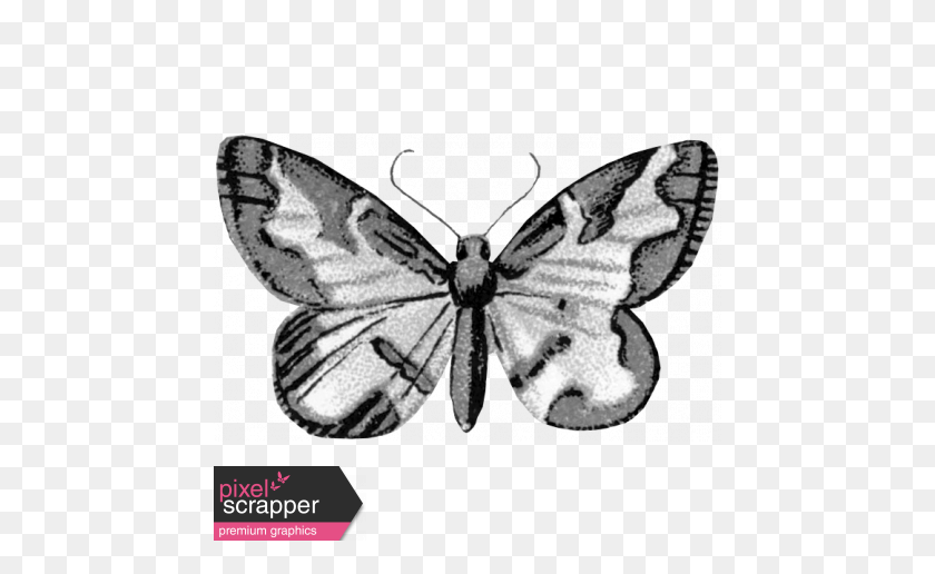 456x456 Butterfly Template Graphic - Butterfly Outline PNG