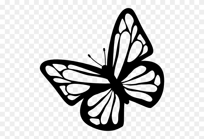 512x512 Butterfly Top View - Plant Top View PNG