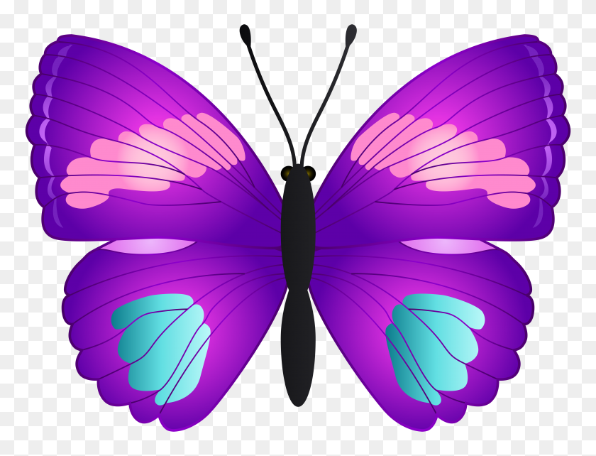 7000x5228 Butterfly Transparent Png Clip - Violet Clipart