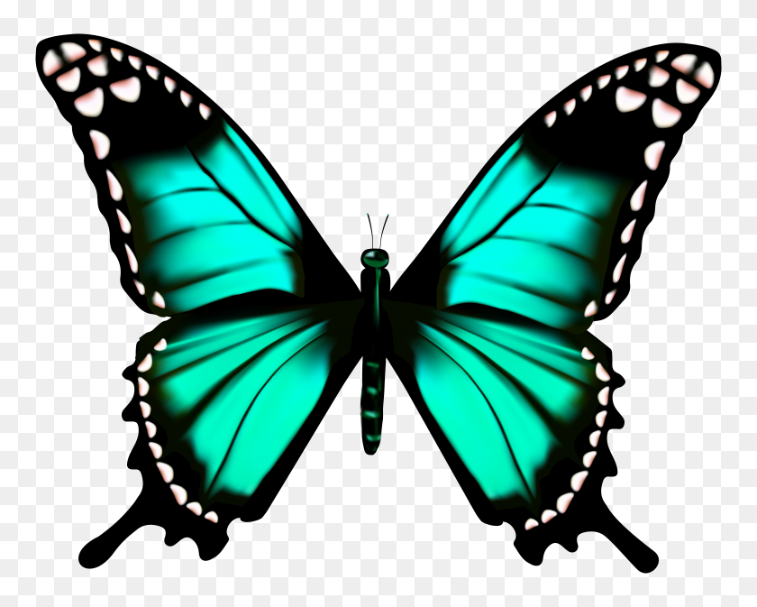 7000x5503 Butterfly Transparent Png Clip Art - Unknown Clipart