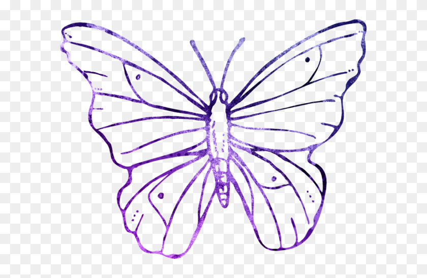 1280x800 Butterfly Web - Butterfly Outline PNG