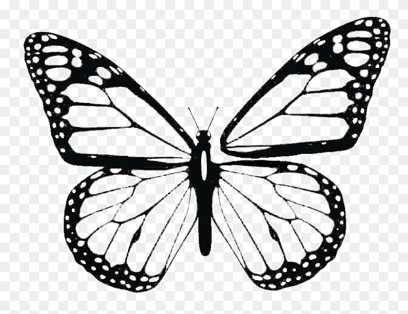 800x603 Butterfly Wing Patterns - Wing Clipart Black And White