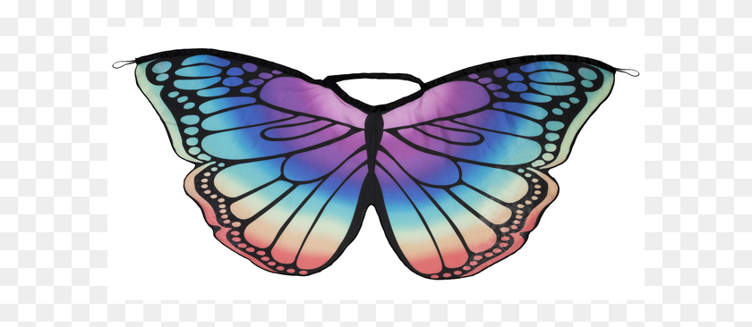 600x306 Butterfly Wings - Butterfly Wings PNG