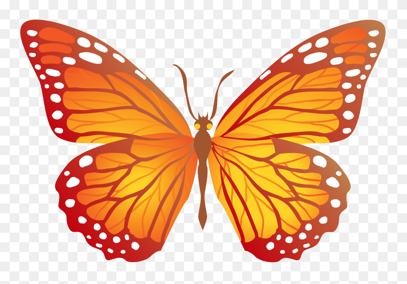 6267x4233 Butterfly With Yellow Png - Yellow Butterfly PNG