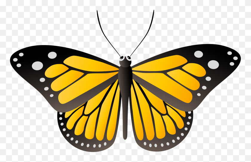 8000x4955 Butterfly Yellow Png Clip Art - Yellow Butterfly Clipart