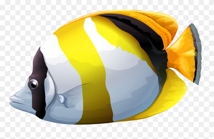 3000x1874 Butterflyfish Clipart - Yellow Fish Clipart
