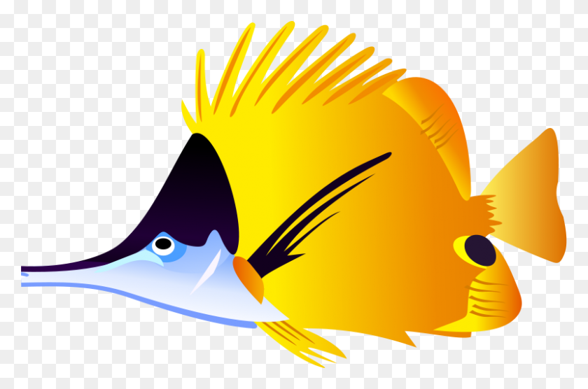 800x509 Клипарт Рыба-Бабочка На Прозрачном Фоне - Рыбный Клипарт Без Фона