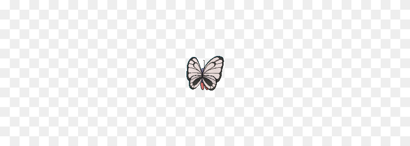 240x240 Butterfree - Бабочка Png