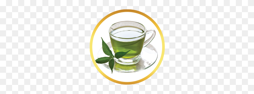 270x250 Купить Зеленый Чай В Пакетиках - Зеленый Чай Png